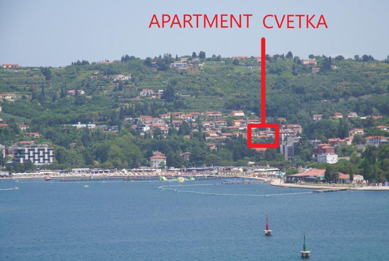 Apartment Cvetka Порторож Екстер'єр фото